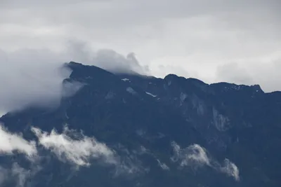 DSC_6248 (Large).JPG